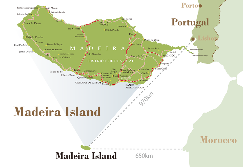 Madeira Island マデイラ島について