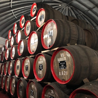 マデイラワイン、4種の白ブドウ