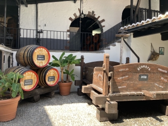 2022年マデイラ島旅行記 ~その6~