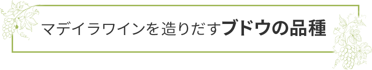 マデイラワインを造りだすブドウの品種